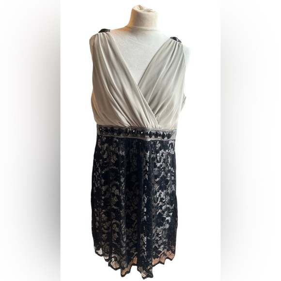 Lace Cocktail Dress - Picture 1 of 10